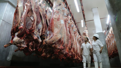 Las cooperativas, en alerta por las consecuencias del ajuste del nuevo gobierno