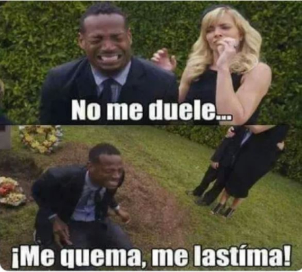 meme mosquito 1.JPG