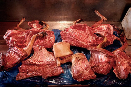 korea-dogmeat5.jpg