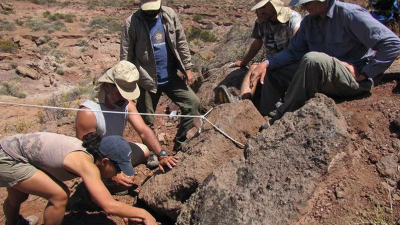 Encontraron restos fósiles de una especie de dinosaurio extinguido hace 90 millones de años