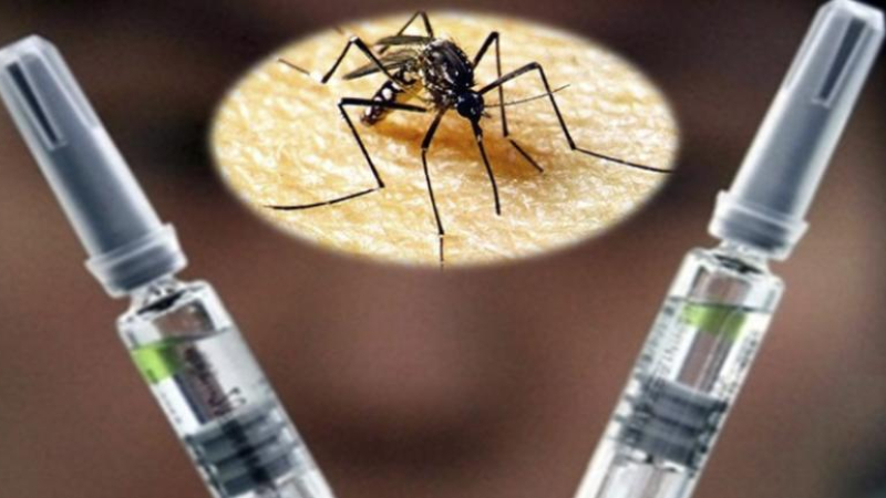 Proponen que la vacuna contra el dengue se incluya como prestación médica obligatoria