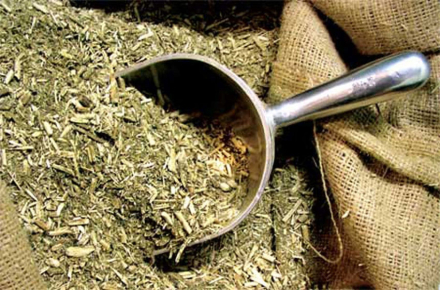 yerba3.jpg