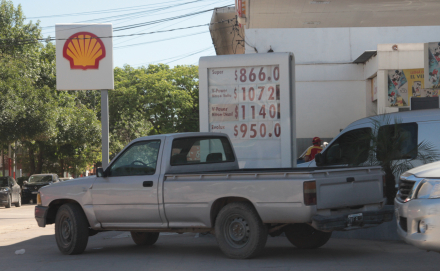 Shell.JPG