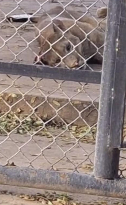 zoo.jpg