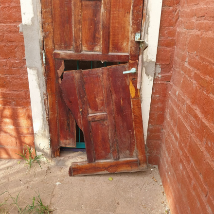robo jardin 1.jfif