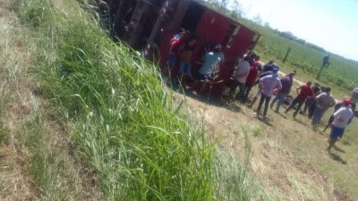 Volcó un camión que llevaba vacunos y vecinos llegaron con la intención de robarlos