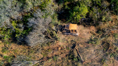 La lucha contra la deforestación