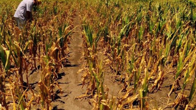 Dirigente federado describe el "desastre climático" y pide intervención del gobierno