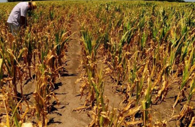 Dirigente federado describe el "desastre climático" y pide intervención del gobierno