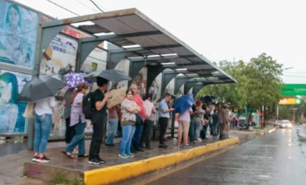 colectivos.jpg