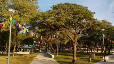 Científicos de la región comparten su trabajo durante un festival en Resistencia