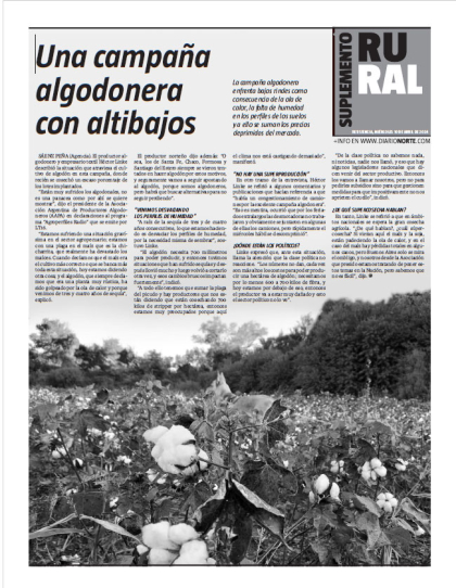 Una campaña algodonera con altibajos