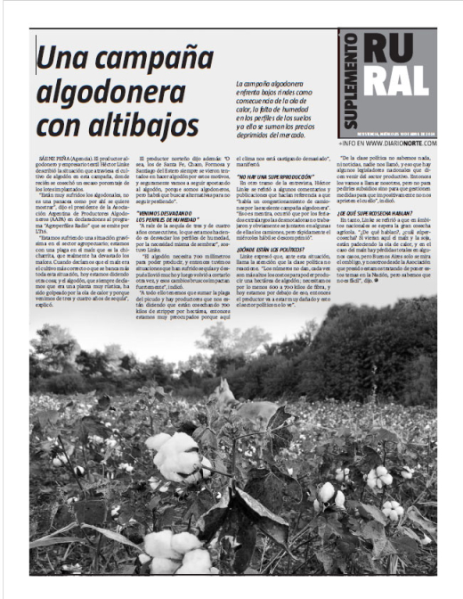 Una campaña algodonera con altibajos