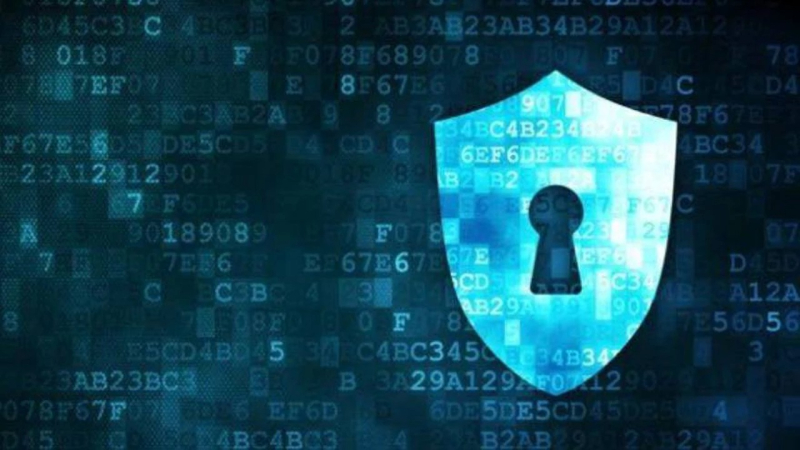 Los riesgos jurídicos del robo de la base de datos de licencias de conducir