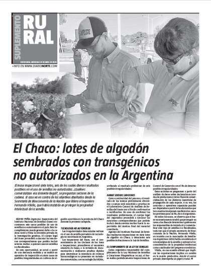 El Chaco: lotes de algodón sembrados con transgénicos no autorizados en la Argentina