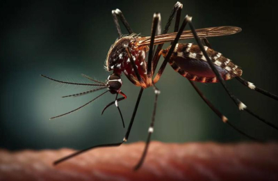 Dengue: la primera muerte en el país por coinfección se produjo en el Chaco