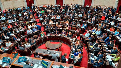 El Senado como última esperanza 