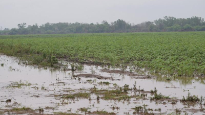 "Trabajamos para que el agua esté disponible en toda la provincia"