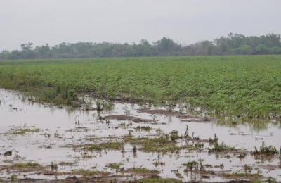 "Trabajamos para que el agua esté disponible en toda la provincia"