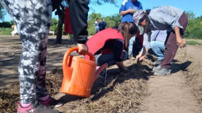 Se triplicaron las solicitudes para instalar huertas comunitarias