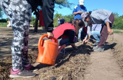 Se triplicaron las solicitudes para instalar huertas comunitarias