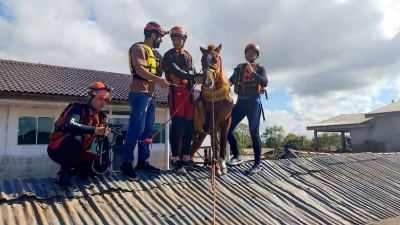 Así fue el increíble rescate de "Caramelo", el caballo atrapado en un techo por las inundaciones de Brasil
