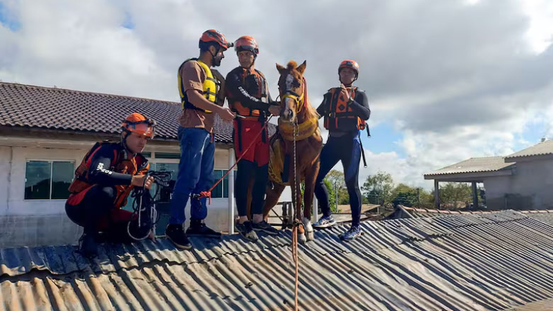 Así fue el increíble rescate de "Caramelo", el caballo atrapado en un techo por las inundaciones de Brasil