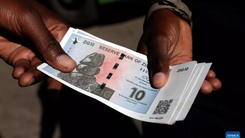 Dolarización y competencia de monedas en Zimbabwe