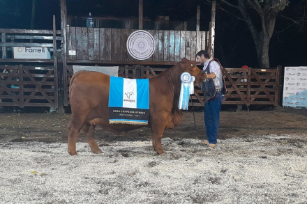 16-R-160-gran-campeona-hembra.jpg