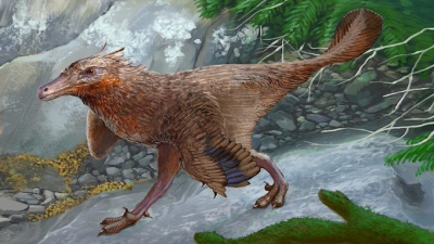 Una nueva especie de dinosaurio fue hallada en Neuquén