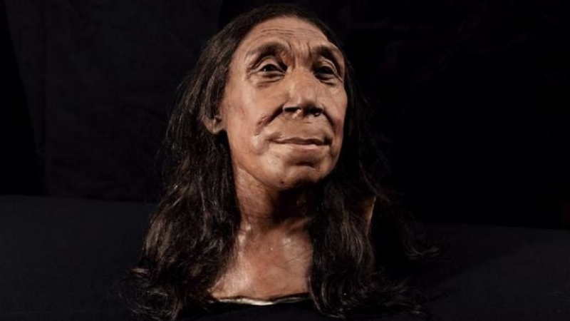 La compasión entre los neandertales