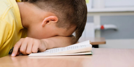 FOTOEDUCACION2.jpg