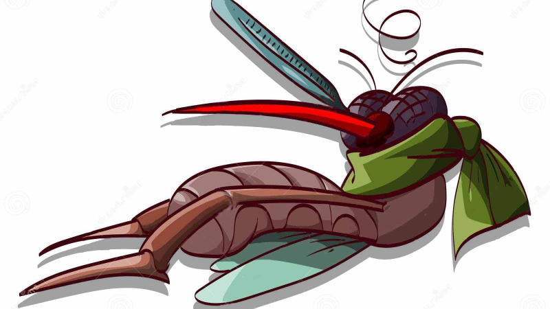 ¿Qué pasa con el dengue en invierno?