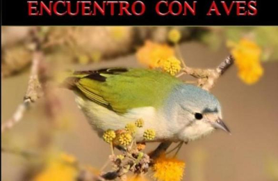 Alza vuelo un material con imágenes y textos sobre las aves de la región