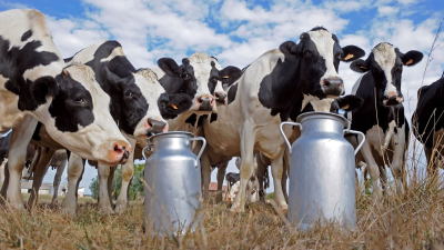 Bajó 11% el consumo de leche