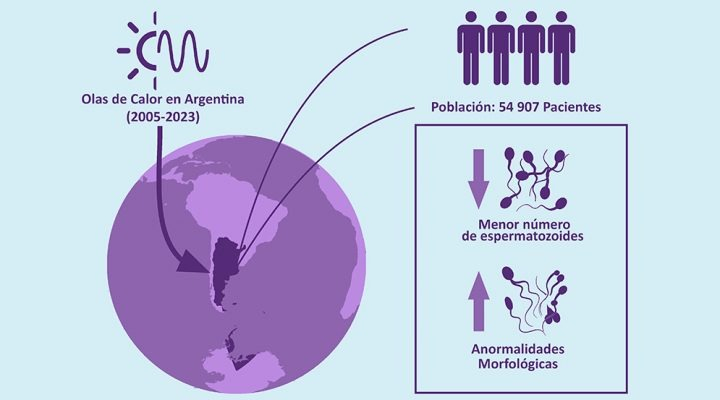 infertilidad2.jpg