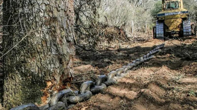 "Los alarmantes datos de pobreza e indigencia están íntimamente vinculados con el desmonte"