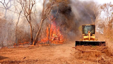 chaco paraguayo.jpg