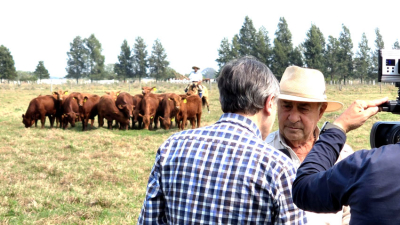 A mostrar lo mejor de la genética, camino al gran remate