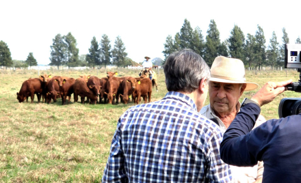 Tato-preparando.jpg