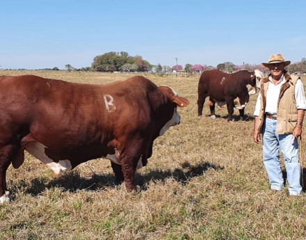 Tato-Romero-Feris-en-el-campo.jpg