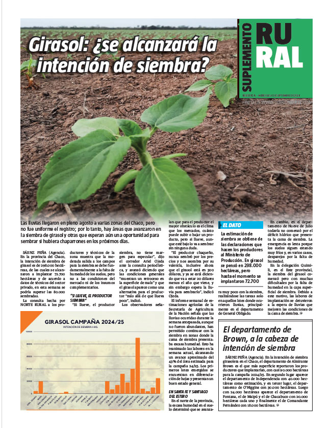 Girasol: ¿se alcanzará la intención de siembra?