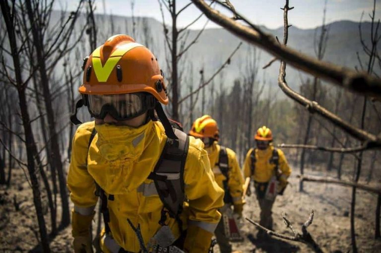 incendios.jpg