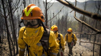 Se realizó por primera vez un plan de acción para combatir los incendios forestales