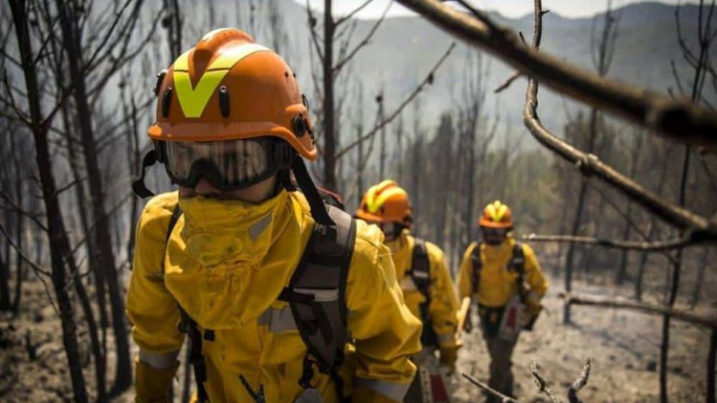 Se realizó por primera vez un plan de acción para combatir los incendios forestales