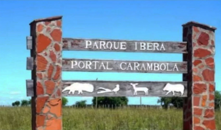 ibera.jpg