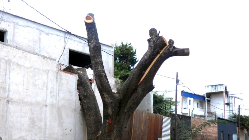 Se necesita conciencia y compromiso para proteger nuestro patrimonio natural