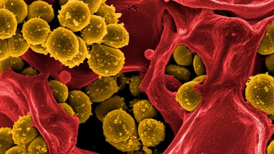 La amenaza de las superbacterias