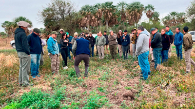 El impacto del control de leñosas invasoras en la producción de forrajes