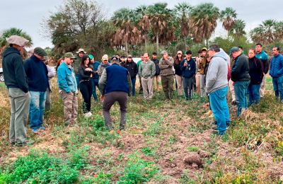 El impacto del control de leñosas invasoras en la producción de forrajes